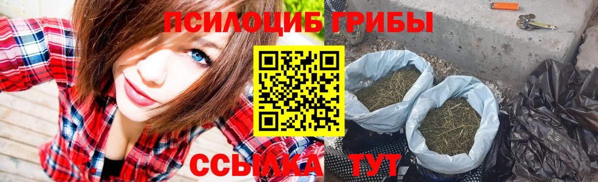 Псилоцибиновые грибы Psilocybine cubensis Бор
